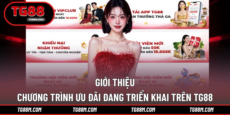 Hiện trang game đang có hàng chục ưu đãi triển khai