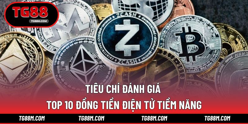 Đánh giá dựa trên nhiều yếu tố nổi bật thực tế