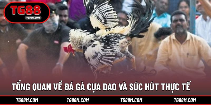 Hiểu đúng bản chất trước khi áp dụng mẹo chơi