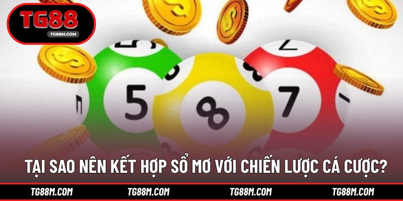 Hiệu quả hơn khi áp dụng hợp lý