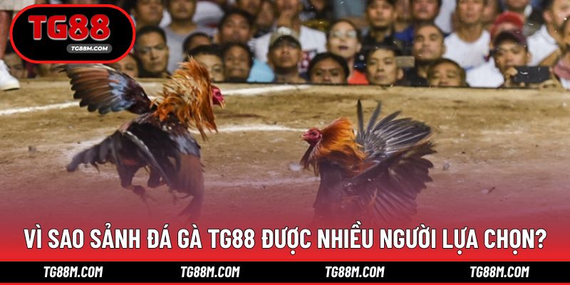Hội tụ nhiều yếu tố uy tín và trải nghiệm vượt trội