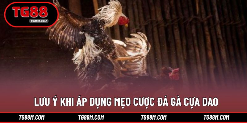 Lưu ý cần nắm khi bet thủ áp dụng mẹo cược