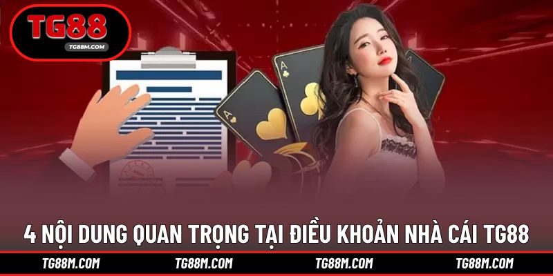 4 quy định quan trọng tạo nên chính sách điều khoản