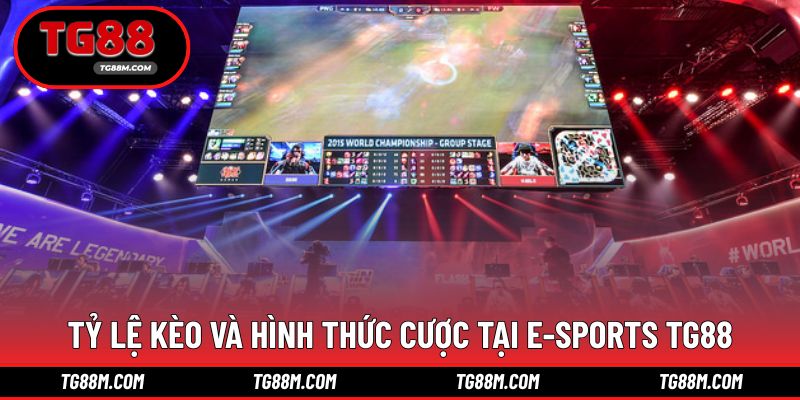 Tối ưu lợi nhuận và dễ tiếp cận tại e-sports TG88 