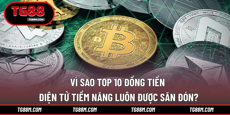 Top 10 đồng tiền điện tử tiềm năng được nhiều người quan tâm